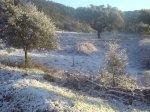 DSC023710005.JPG