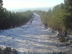 DSC023810013.JPG
