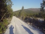 DSC023830015.JPG