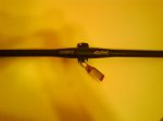 DSC00168.jpg