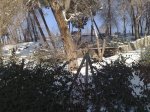 10012009358.jpg