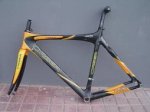 ORBEA%20.JPG