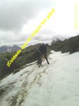 IMAGE_00085.jpg