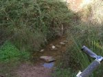 MTB-Ibiza_2009-01-11_001B.jpg