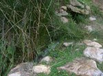 MTB-Ibiza_2009-01-11_002B.jpg