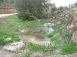 MTB-Ibiza_2009-01-11_005B.jpg