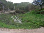 MTB-Ibiza_2009-01-11_006B.jpg
