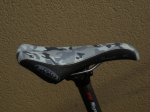DSCN5598.jpg
