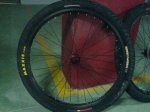 DSC00478.jpg