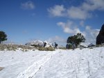 IMG_2056.JPG
