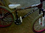 22122008283.jpg