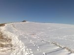 11012009367.jpg