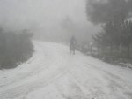 SANY0058.jpg