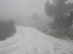 SANY0059.jpg