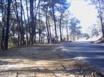 PICT0011.JPG