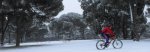 cdc snow 1.jpg