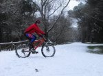cdc snow 3.jpg