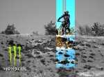 monster.jpg