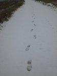 Plana de Maria (Nieve) 052.jpg