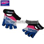 lampre-guantini-08.jpg
