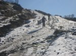 IMG_1245.jpg