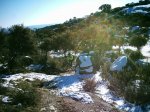 DSC_1075.jpg