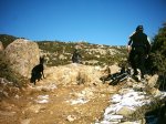 DSC_1079.jpg