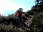 DSC01686.jpg