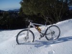 Collfornic 11 gener 2009 012.jpg