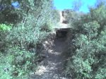 11-04-06_1738.jpg