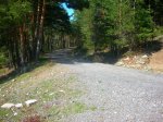 DSCN1146.JPG