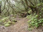 Resize of DSC02370.JPG