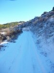 100_0404_resize.JPG