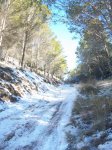 100_0408_resize.JPG