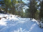 100_0415_resize.JPG
