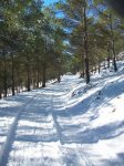 100_0416_resize.JPG