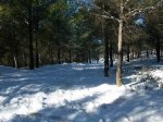 100_0424_resize.JPG