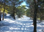 100_0425_resize.JPG
