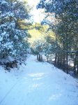 100_0427_resize.JPG