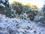 100_0429_resize.JPG