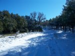 100_0432_resize.JPG