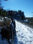 100_0438_resize.JPG