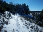 100_0440_resize.JPG