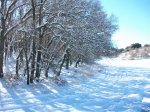100_0441_resize.JPG