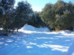 100_0451_resize.JPG