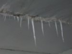 100_0457_resize.JPG