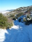 100_0482_resize.JPG