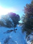 100_0487_resize.JPG