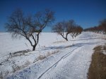 100_1819.JPG