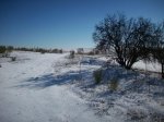 100_1847.JPG